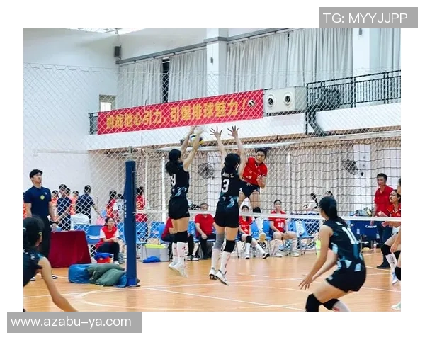 深圳排球队的耐力之道：揭秘排球背后的坚持与奋斗精神
