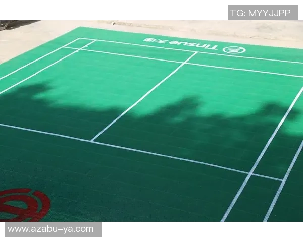 西安羽毛球队中路突破分析与未来发展趋势探讨 西安羽毛球队中路突破分析与未来发展趋势探讨