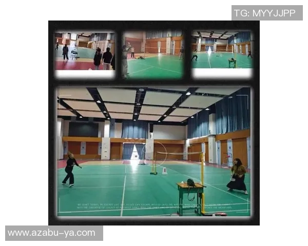 羽毛球深度:解密南京羽毛球队的区域防守 羽毛球深度:解密南京羽毛球队的区域防守