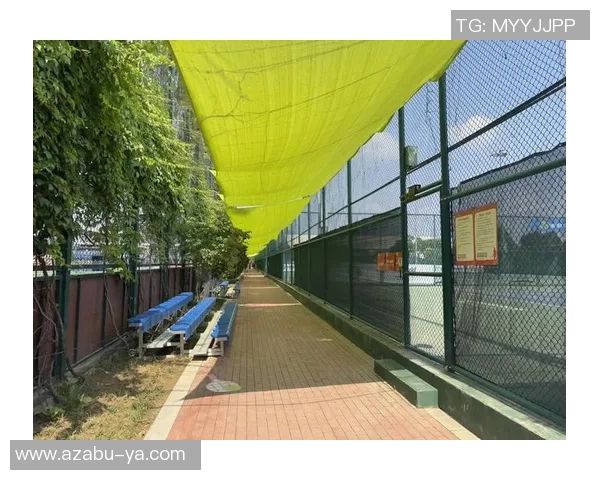 专业解读：西安网球队的整体压制打法