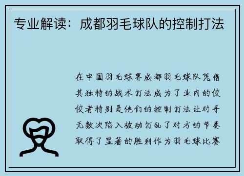 专业解读：成都羽毛球队的控制打法