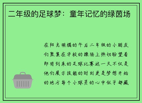 二年级的足球梦：童年记忆的绿茵场
