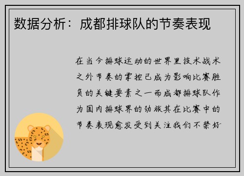 数据分析：成都排球队的节奏表现
